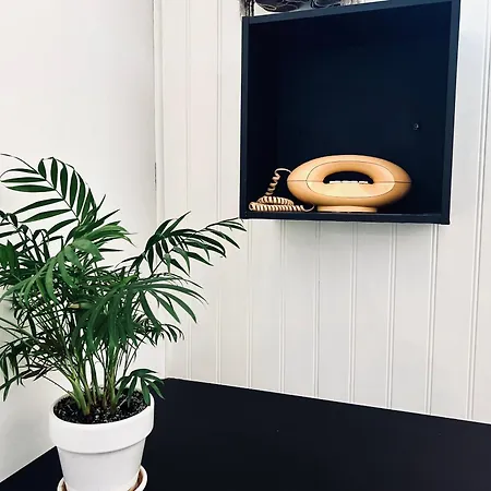 Coliving Ajaccio * Ajaccio (Corsica)
