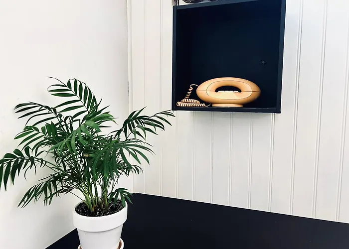 Coliving * アジャクシオ